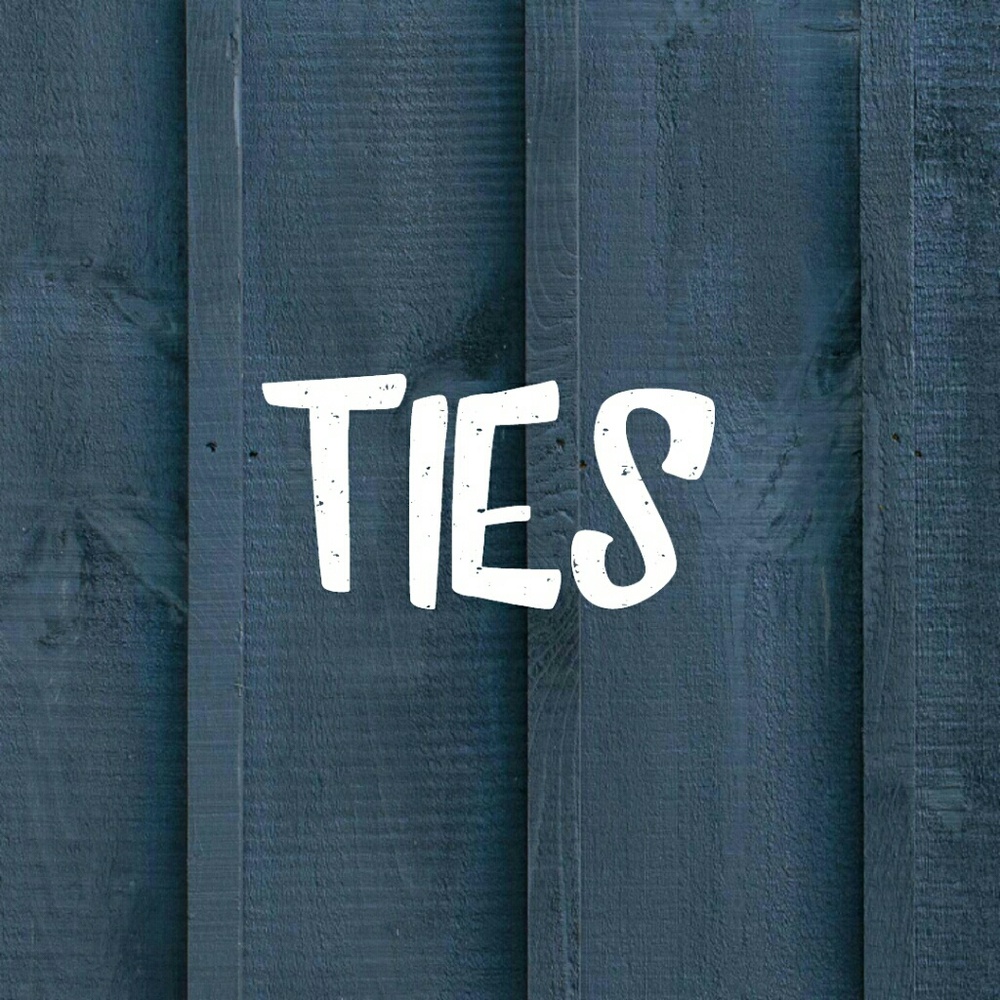 Ties section