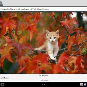 Meet your Posher, Pam