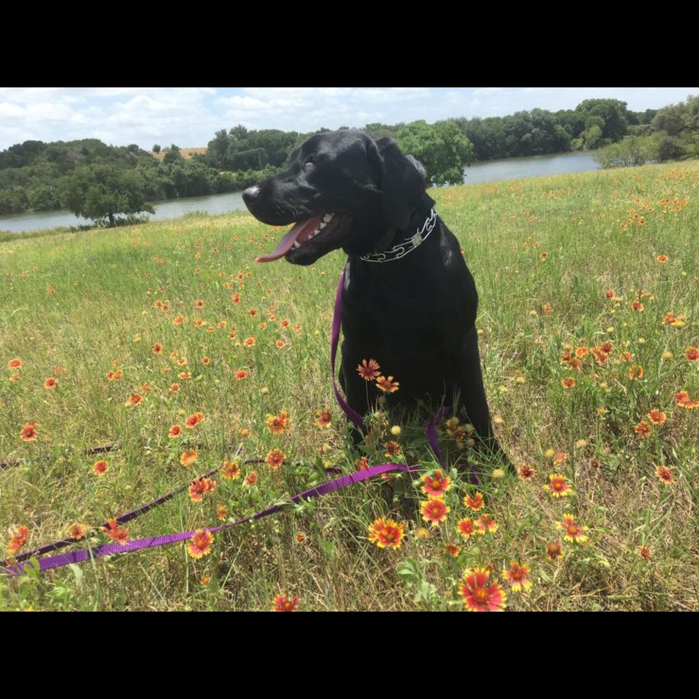 Meet your Posher, Sally