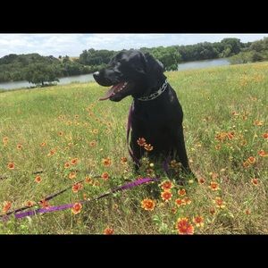 Meet your Posher, Sally