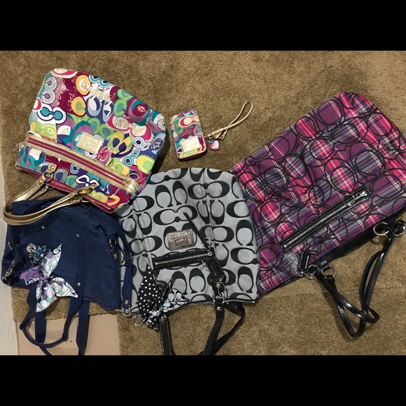 Large Coach Poppy - Picture 3 of 4