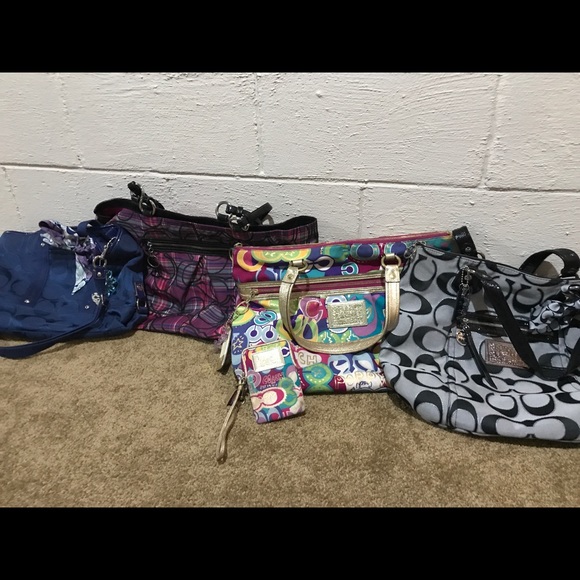 Large Coach Poppy - Picture 4 of 4