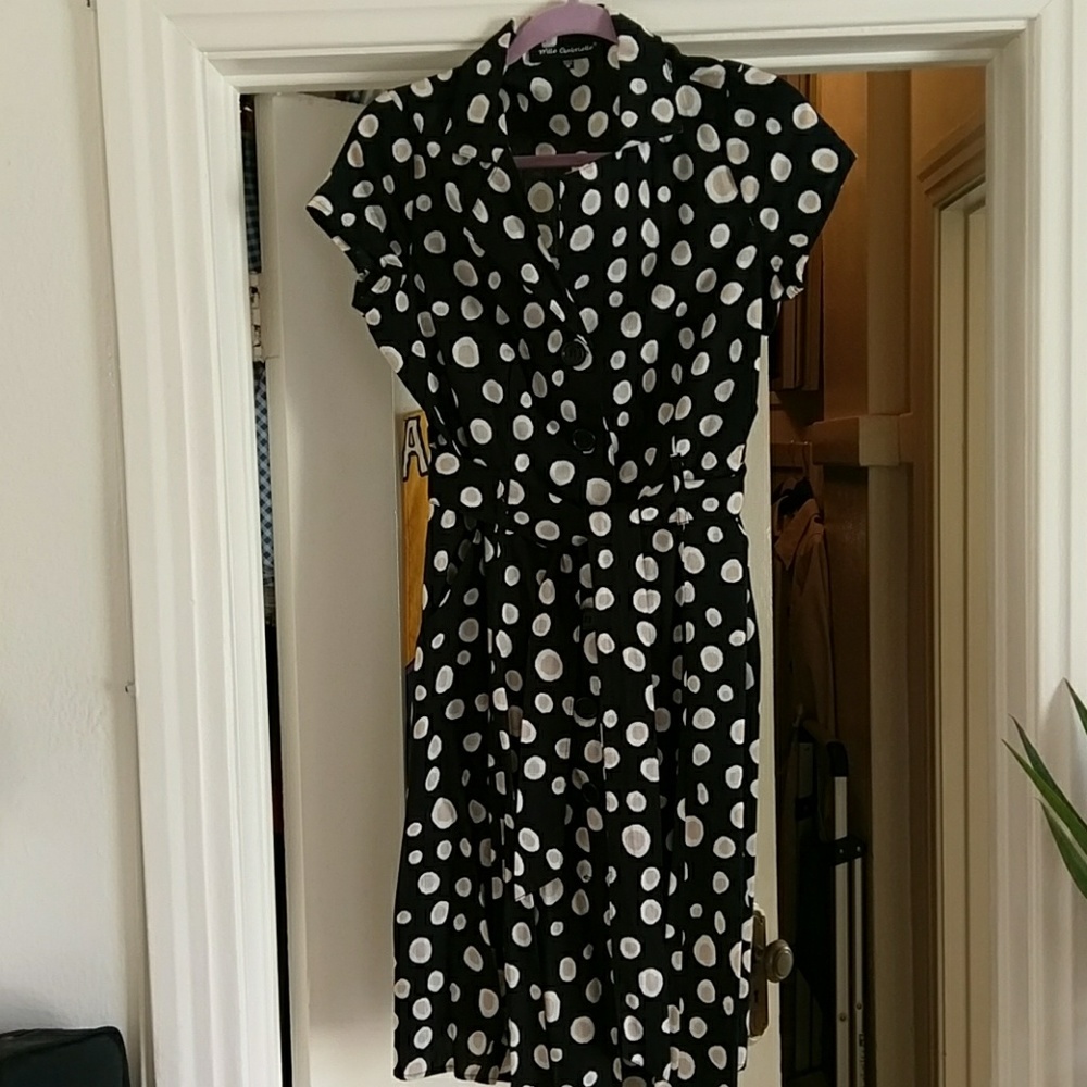 Fitted  button down dress with style