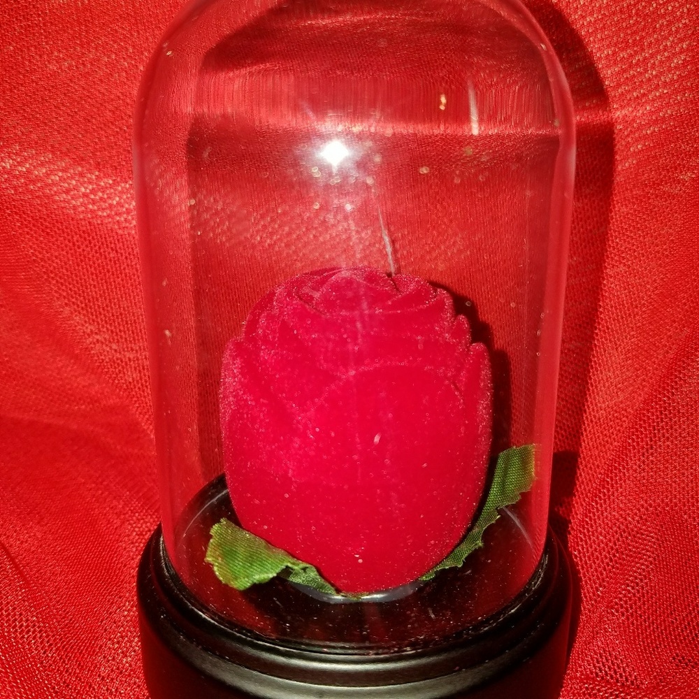 Ring gift - Picture 2 of 4