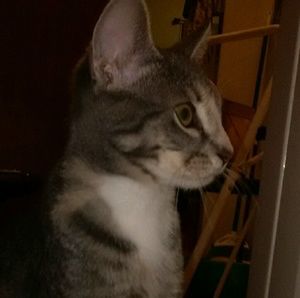 Meet your Posher, Katheryn