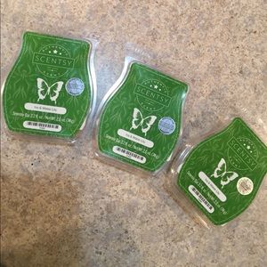 3 pack ivy &a water lily