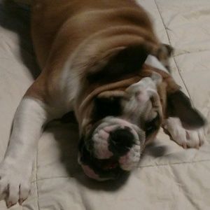 Meet your Posher, Lori