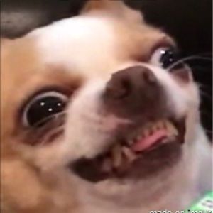 Meet your Posher, Imani