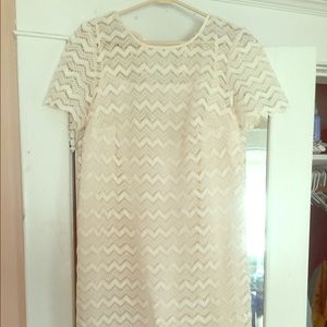 Loft lace shift dress