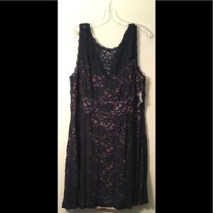 Short Navy Lace Dress with Blush underlay