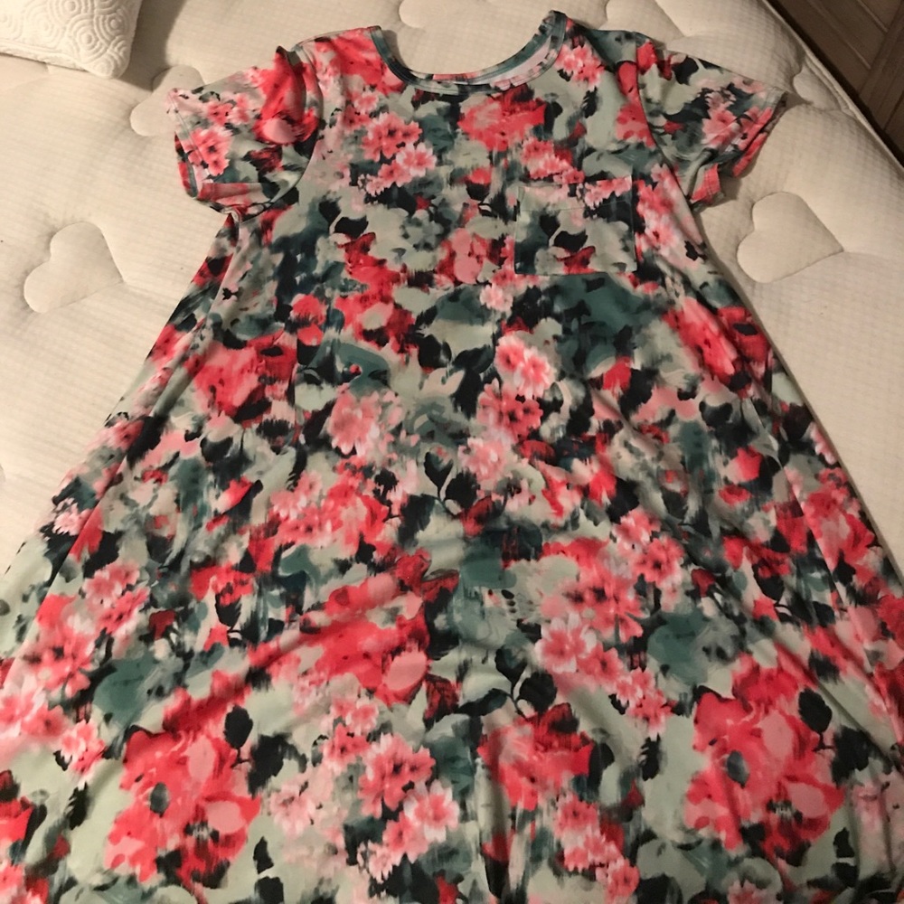 LuLaRoe Carly in pink and green