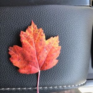 Meet your Posher, Virginia