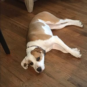 Meet your Posher, Allison