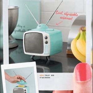 Telly Scentsy warmer