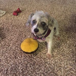 Meet your Posher, Ellen