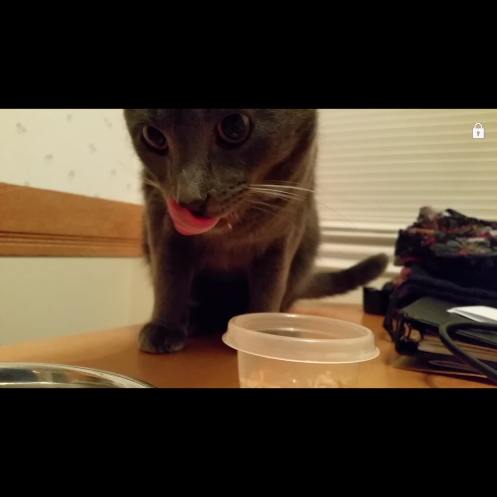 NOT PROFIT MOTIVATED! Make offers :)