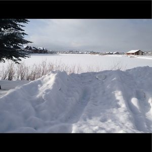 Meet your Posher, Pearl