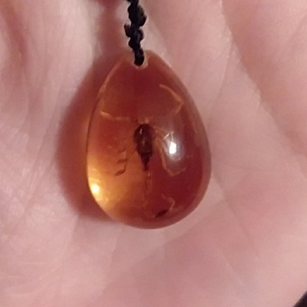 Scorpion necklace