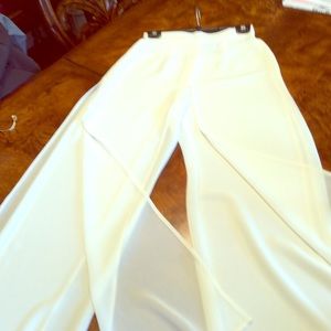 Sheer dress pants/skirt
