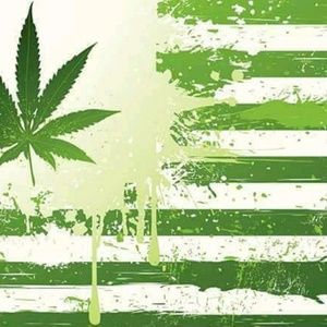 Meet your Posher, Adrian