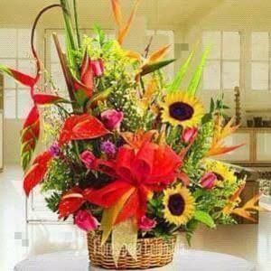 Meet your Posher, Ana