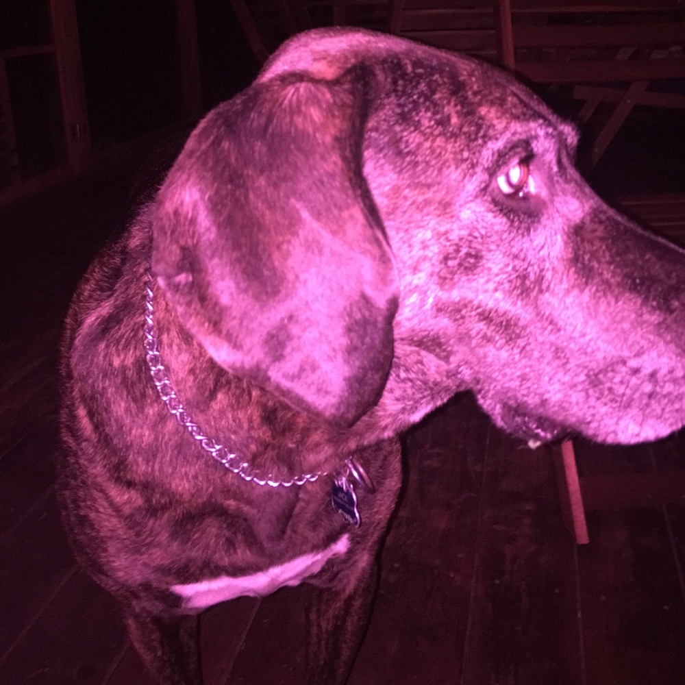 Meet your Posher, Carla