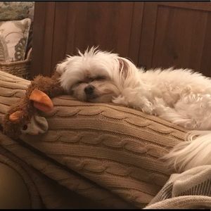 Meet your Posher, Thomas