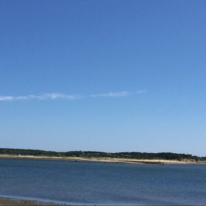 Meet your Posher, Cynthia