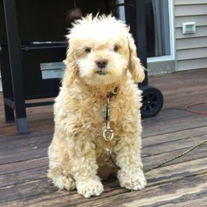 Meet your Posher, Beth