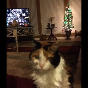 Meet your Posher, Keith