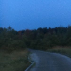 Meet your Posher, Tony