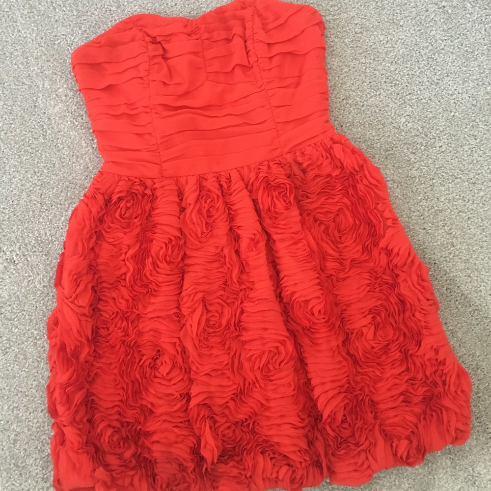 H&M Garden Collection Rosette Dress