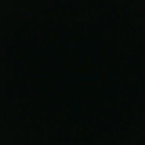 Meet your Posher, Bridget