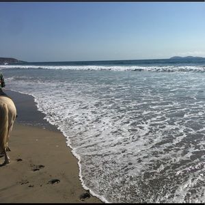 Meet your Posher, Lou