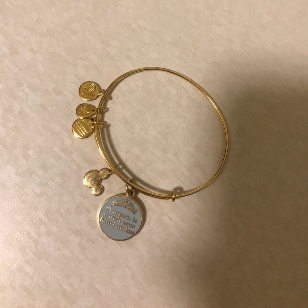 Alex and ani Disney Bracelet