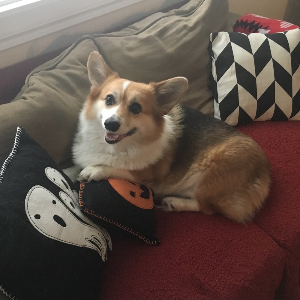 Meet your Posher, Angela