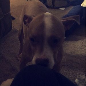 Meet your Posher, Julia