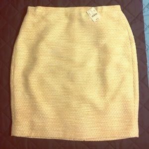 Pencil Skirt