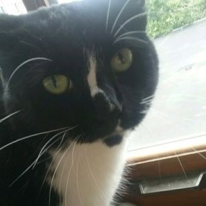 Meet your Posher, Desmyn