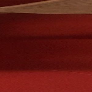 Meet your Posher, Austin