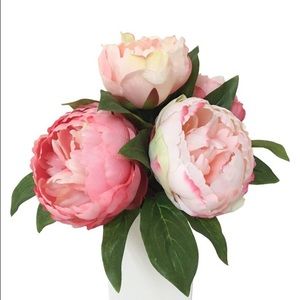 Meet your Posher, Jocelyn