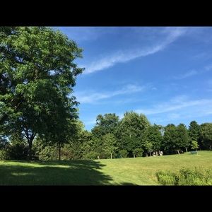 Meet your Posher, Ross