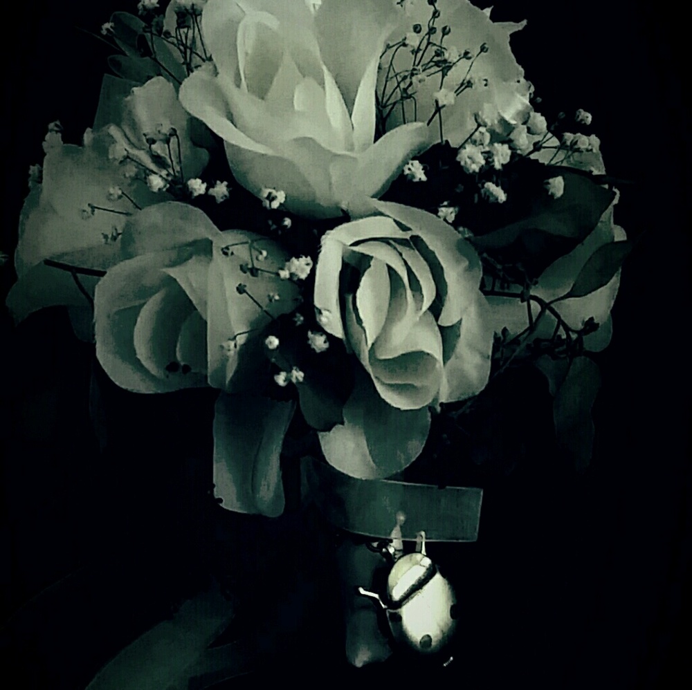 Meet your Posher, Sophia