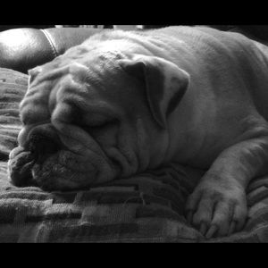 Meet your Posher, Brian