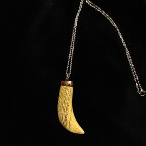 Gemstone horn necklace