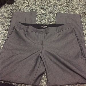 Express Dress Pants