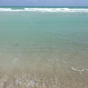 Meet your Posher, Corrie