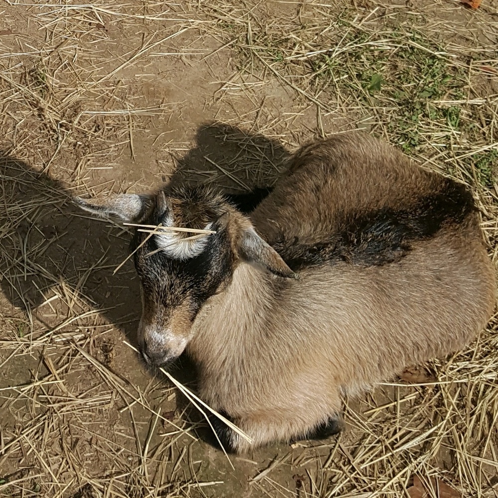 Meet your Posher, Jooyoung