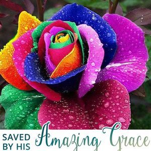 Meet your Posher, Ann