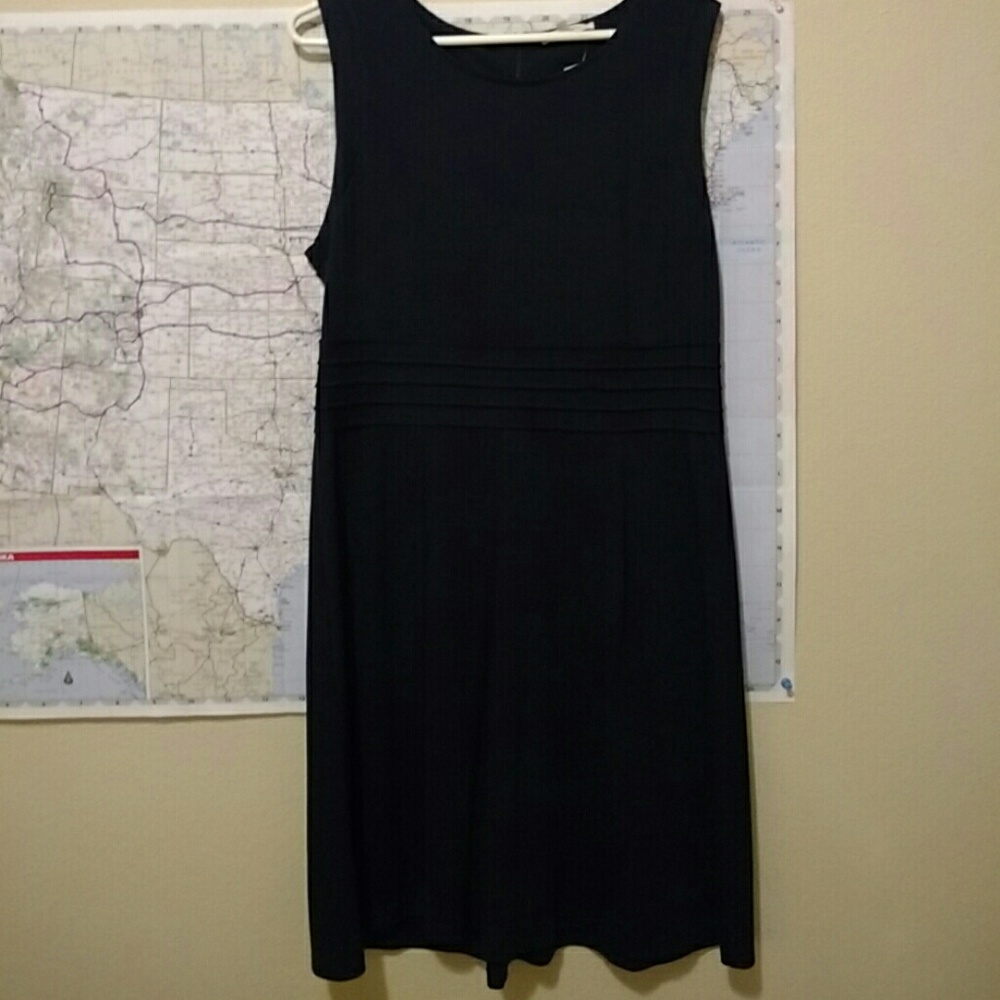 Navy Sleeveless Ponte Dress